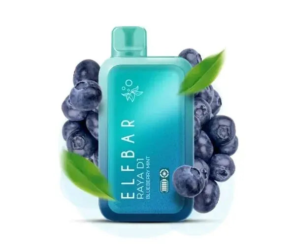 ELF BAR RAYA D1 – Blueberry Mint - Vape Shop Udaipur VapeshopUdaipur