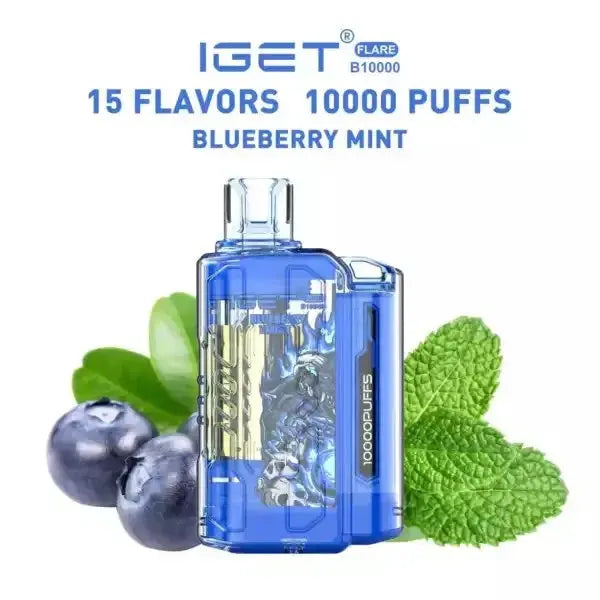 IGET FLARE B10000 – Blueberry Mint - Vape Shop Udaipur VapeshopUdaipur